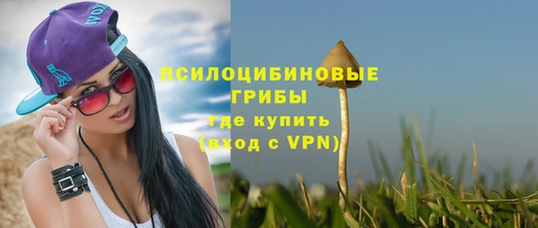 МДПВ Верхний Тагил
